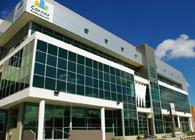 Palladium Property